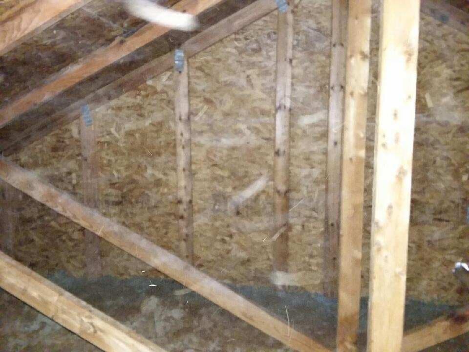 The same attic sheathing cleaned back to bare wood after attic mold remediation