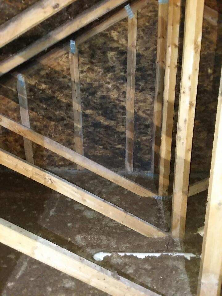Attic roof sheathing covered in dark mold growth before attic mold remediation
